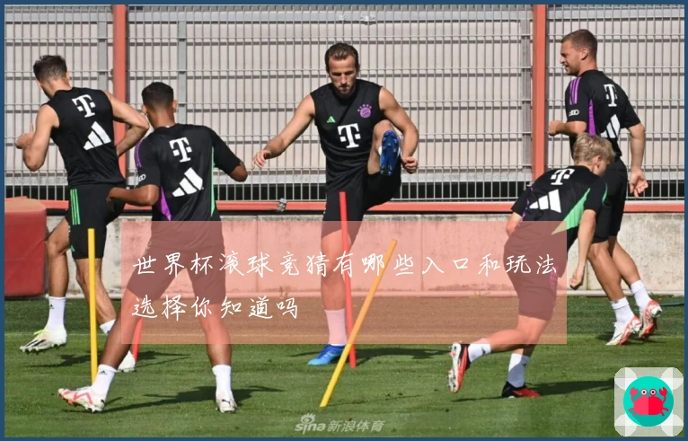 世界杯滚球竞猜有哪些入口和玩法选择你知道吗