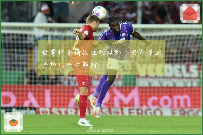 世界杯竞猜投注网站哪个好？看这些热门平台解析