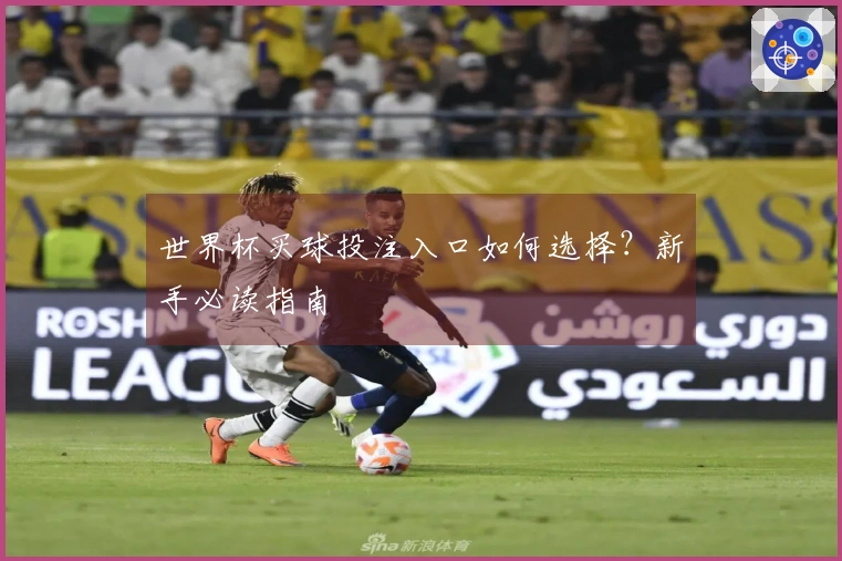 世界杯买球投注入口如何选择？新手必读指南