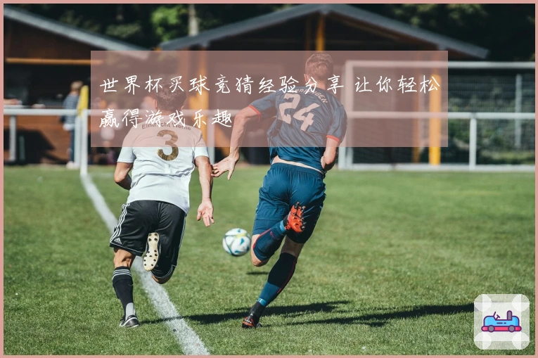 世界杯买球竞猜经验分享 让你轻松赢得游戏乐趣
