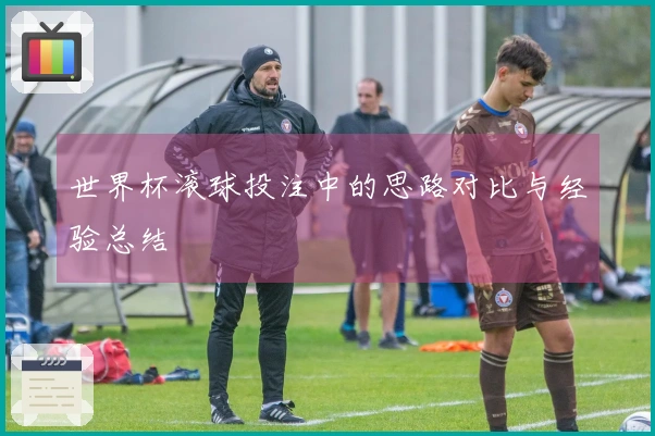 世界杯滚球投注中的思路对比与经验总结