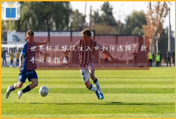 世界杯买球投注入口如何选择？新手必读指南