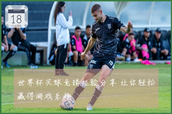 世界杯买球竞猜经验分享 让你轻松赢得游戏乐趣