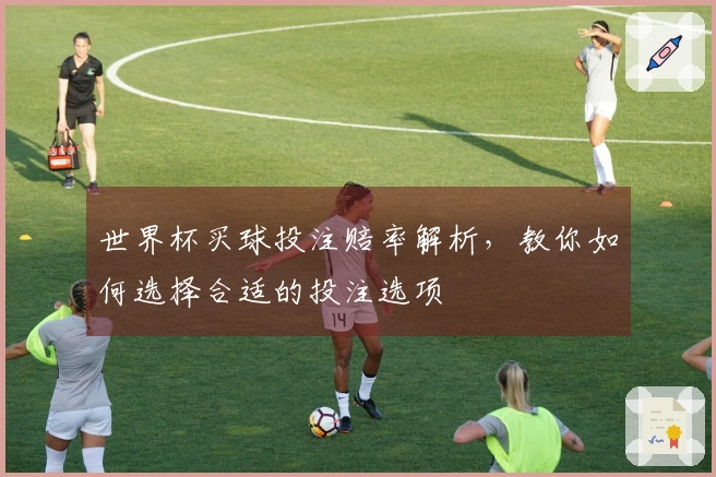 世界杯买球投注赔率解析，教你如何选择合适的投注选项