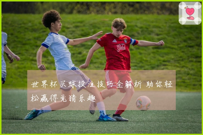 世界杯买球投注技巧全解析 助你轻松赢得竞猜乐趣