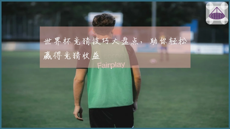 世界杯竞猜技巧大盘点，助你轻松赢得竞猜收益