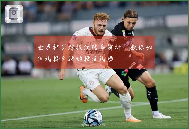 世界杯买球投注赔率解析，教你如何选择合适的投注选项