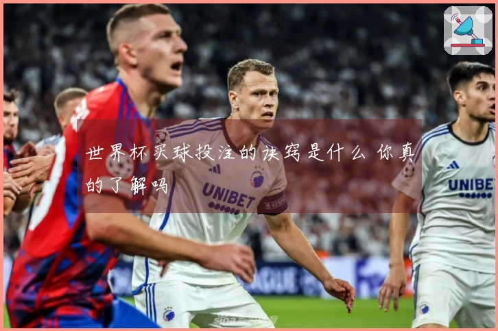 世界杯买球投注的诀窍是什么 你真的了解吗