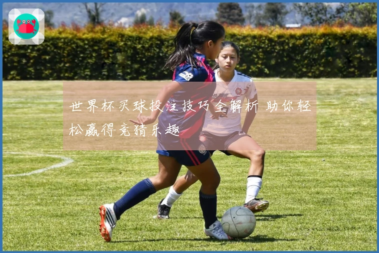 世界杯买球投注技巧全解析 助你轻松赢得竞猜乐趣