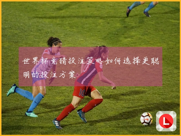 世界杯竞猜投注策略如何选择更聪明的投注方案